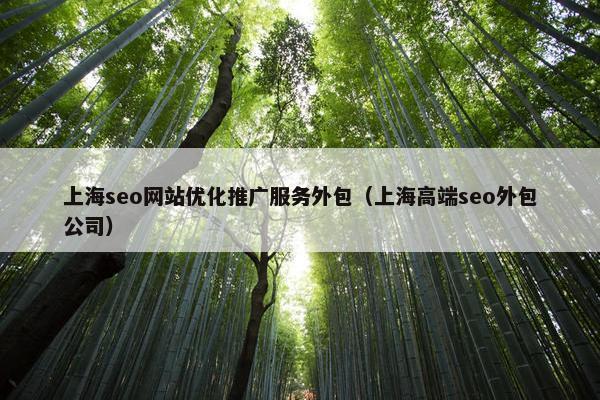 上海seo网站优化推广服务外包（上海高端seo外包公司）