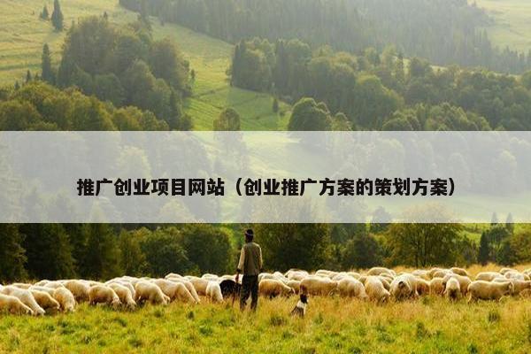 推广创业项目网站（创业推广方案的策划方案）