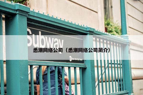 悉潮网络公司（悉潮网络公司简介）