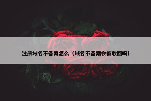 注册域名不备案怎么（域名不备案会被收回吗）