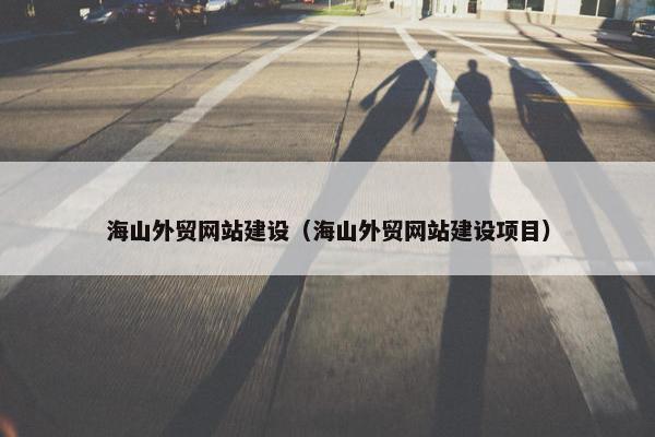 海山外贸网站建设（海山外贸网站建设项目）