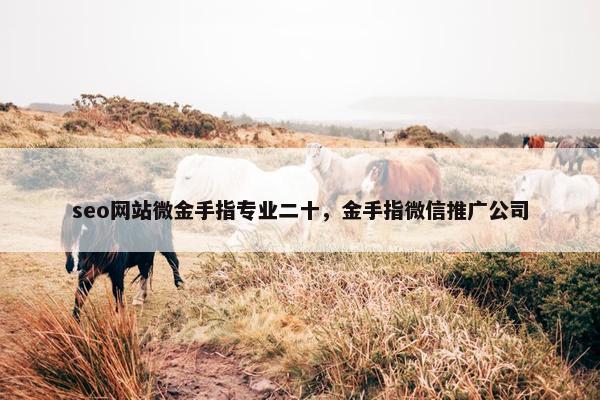 seo网站微金手指专业二十，金手指微信推广公司