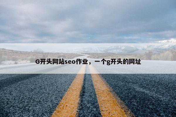 G开头网站seo作业，一个g开头的网址