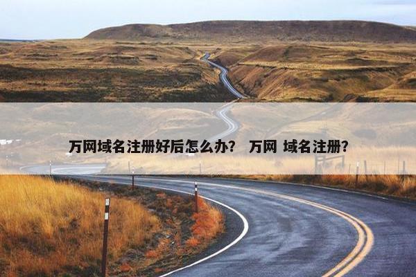 万网域名注册好后怎么办？ 万网 域名注册？