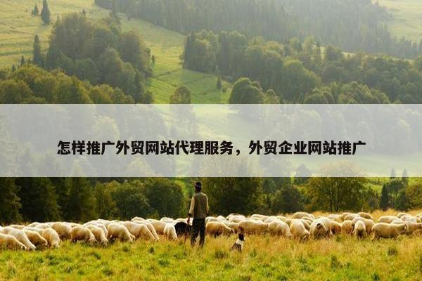 怎样推广外贸网站代理服务，外贸企业网站推广