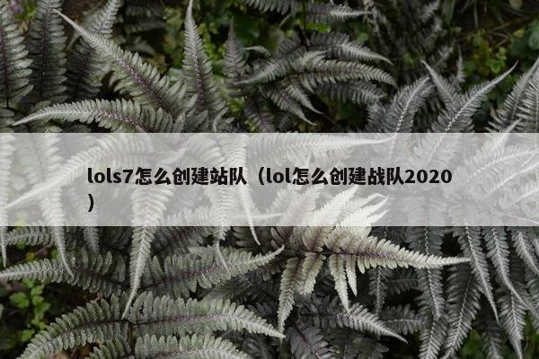 lols7怎么创建站队（lol怎么创建战队2020）
