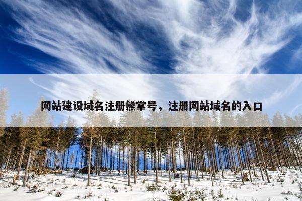 网站建设域名注册熊掌号，注册网站域名的入口