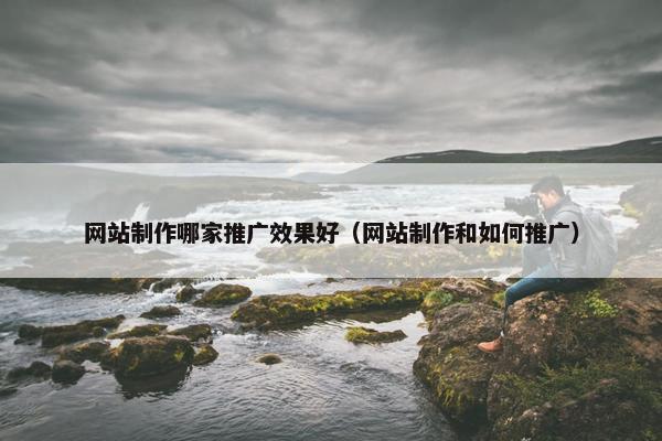网站制作哪家推广效果好（网站制作和如何推广）