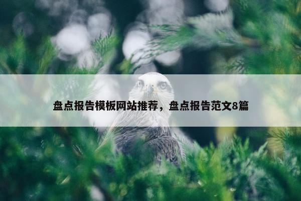 盘点报告模板网站推荐，盘点报告范文8篇