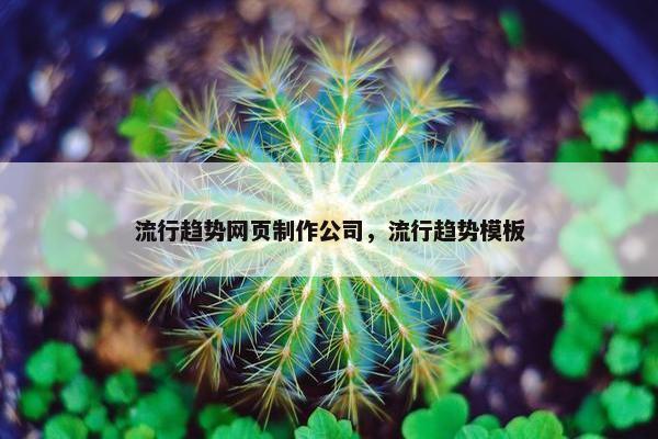 流行趋势网页制作公司，流行趋势模板