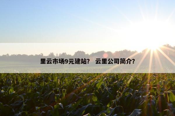 里云市场9元建站？ 云里公司简介？