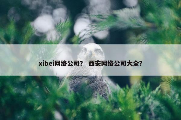 xibei网络公司？ 西安网络公司大全？