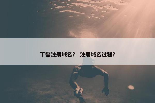 丁磊注册域名？ 注册域名过程？