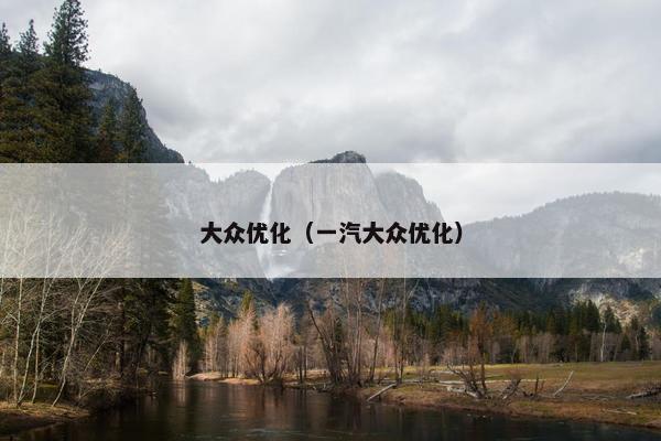 大众优化（一汽大众优化）