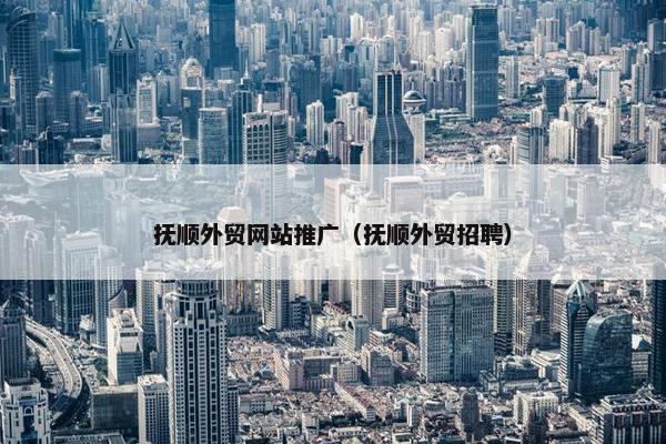 抚顺外贸网站推广（抚顺外贸招聘）