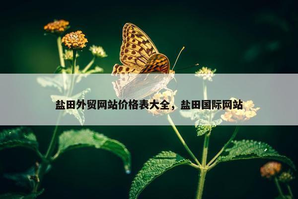 盐田外贸网站价格表大全，盐田国际网站