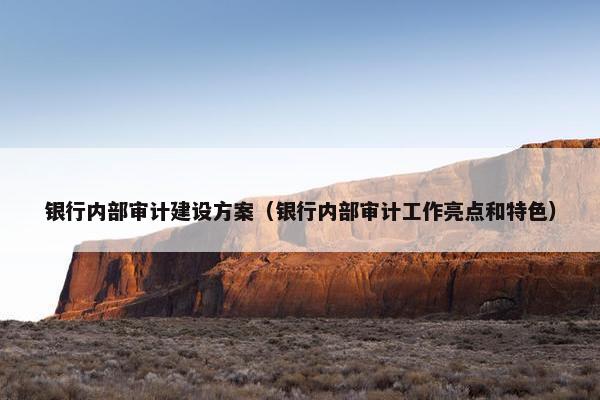 银行内部审计建设方案（银行内部审计工作亮点和特色）