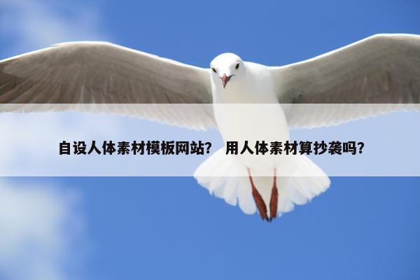 自设人体素材模板网站？ 用人体素材算抄袭吗？