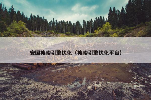 安国搜索引擎优化（搜索引擎优化平台）