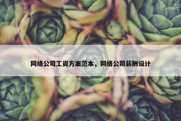 网络公司工资方案范本，网络公司薪酬设计