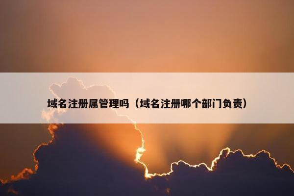 域名注册属管理吗（域名注册哪个部门负责）