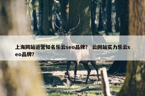 上海网站运营知名乐云seo品牌？ 云网站实力乐云seo品牌？