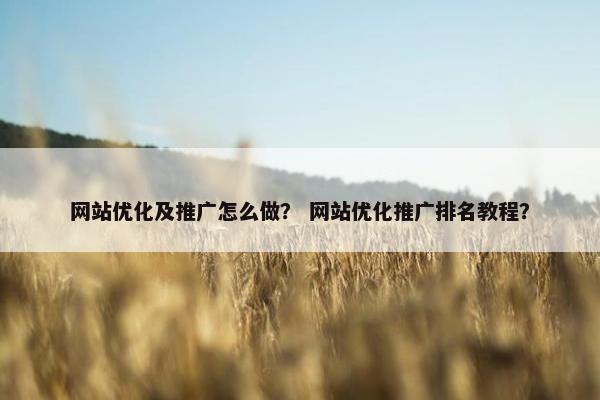 网站优化及推广怎么做？ 网站优化推广排名教程？