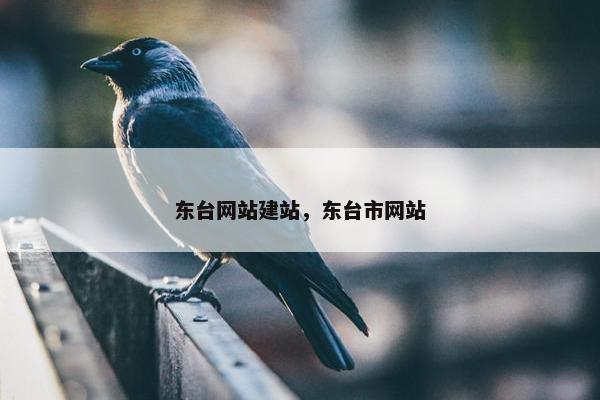 东台网站建站，东台市网站