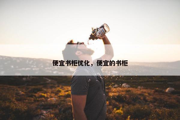 便宜书柜优化，便宜的书柜