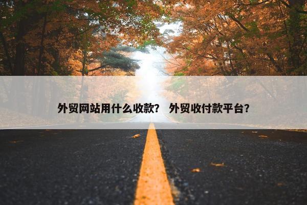 外贸网站用什么收款？ 外贸收付款平台？