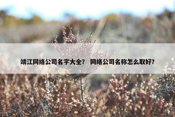 靖江网络公司名字大全？ 网络公司名称怎么取好？