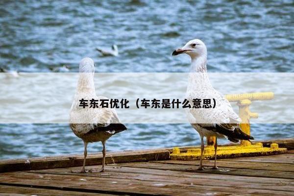 车东石优化（车东是什么意思）