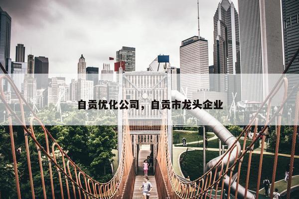 自贡优化公司，自贡市龙头企业