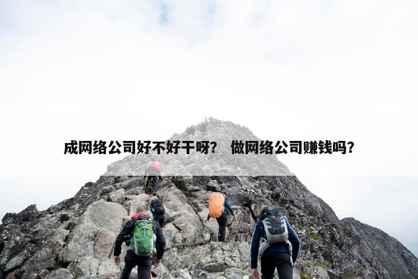 成网络公司好不好干呀？ 做网络公司赚钱吗？