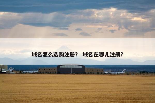 域名怎么选购注册？ 域名在哪儿注册？