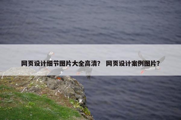 网页设计细节图片大全高清？ 网页设计案例图片？