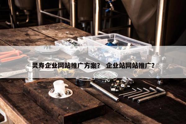 灵寿企业网站推广方案？ 企业站网站推广？