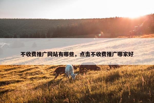 不收费推广网站有哪些，点击不收费推广哪家好