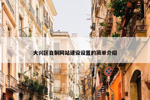 大兴区自制网站建设设置的简单介绍