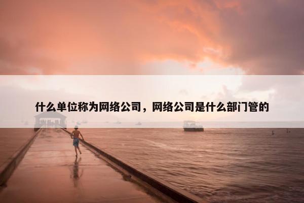 什么单位称为网络公司，网络公司是什么部门管的