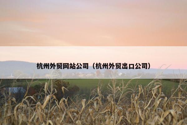 杭州外贸网站公司（杭州外贸出口公司）
