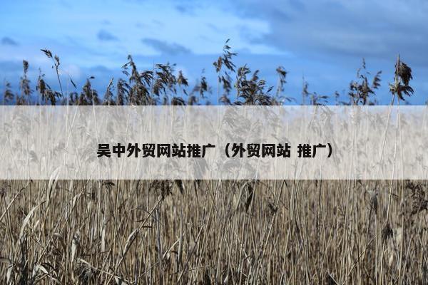 吴中外贸网站推广（外贸网站 推广）