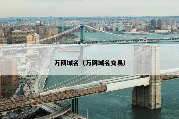 万网域名（万网域名交易）