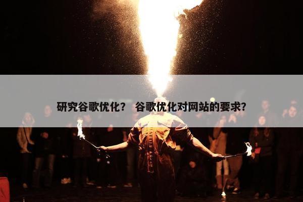 研究谷歌优化？ 谷歌优化对网站的要求？