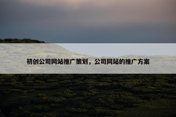 初创公司网站推广策划，公司网站的推广方案