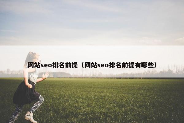 网站seo排名前提（网站seo排名前提有哪些）