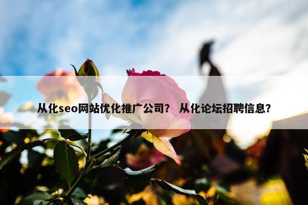 从化seo网站优化推广公司？ 从化论坛招聘信息？