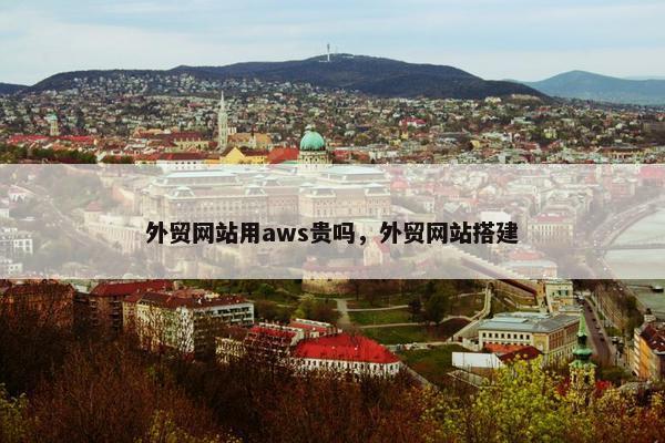 外贸网站用aws贵吗，外贸网站搭建