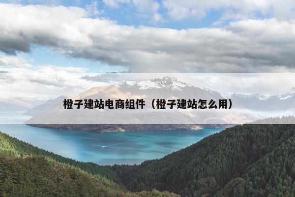 橙子建站电商组件（橙子建站怎么用）