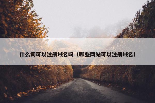 什么词可以注册域名吗（哪些网站可以注册域名）